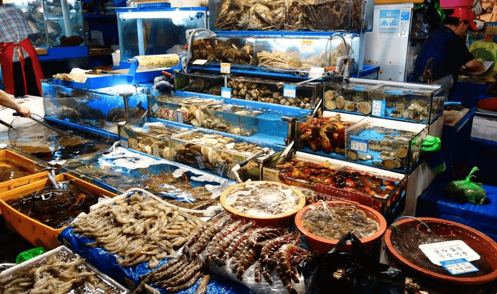 Bí quyết chọn mua hải sản tươi sống không bị ngâm hóa chất